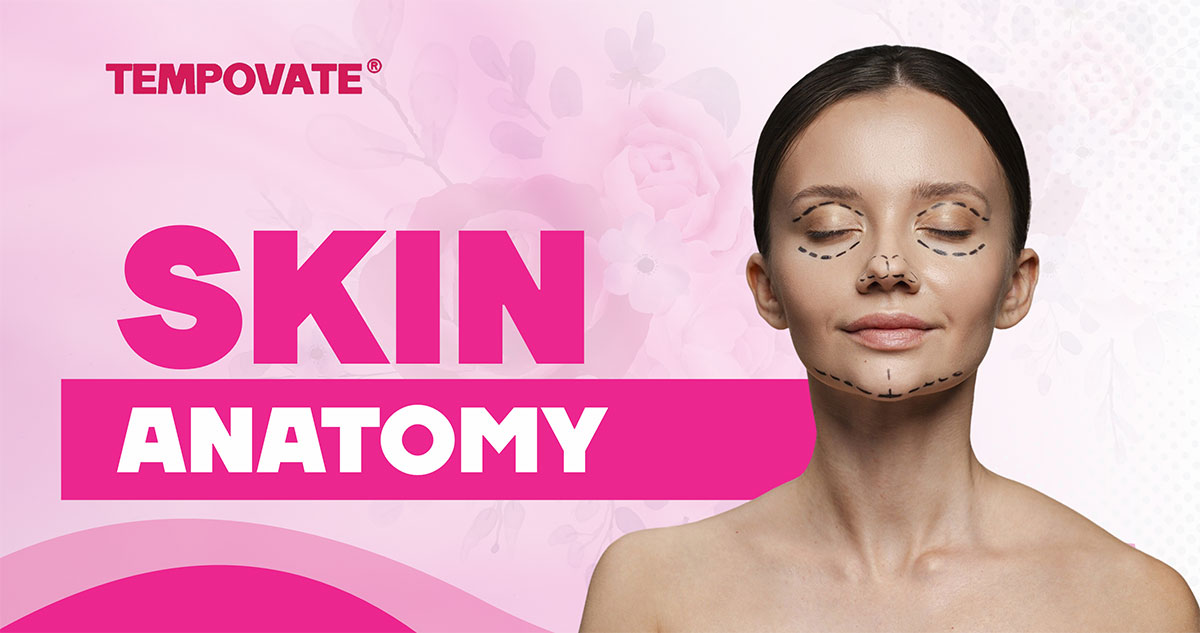 Skin Anatomy: Why Caring for Your Skin Matters
